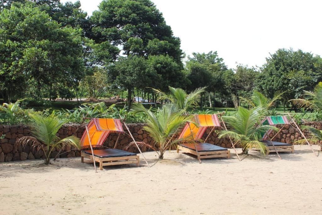 Mabamba Lodge Wakiso Kültér fotó