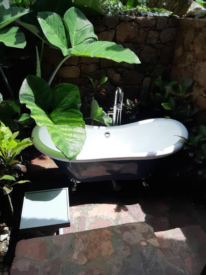 Mabamba Lodge Wakiso Kültér fotó